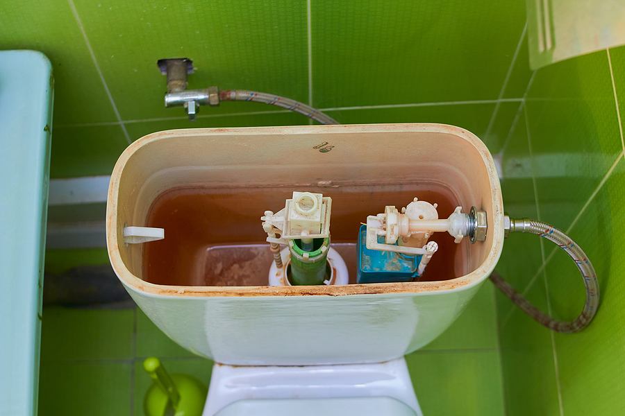 No Gap Under the Flap: Changing a Toilet Flapper in Simple Steps